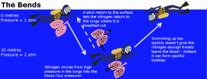 the-bends